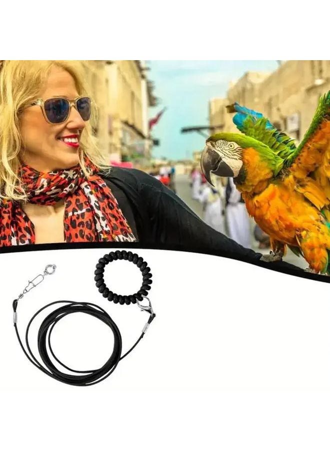 Black Parrot Outdoor Training Leash Set With Whistle Leg Rings Feeder 12pcs - Image 5